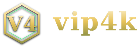vip4k logo